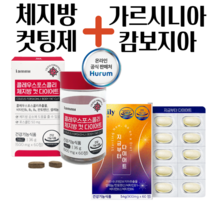 초급자용 단기다이어트 강력한 식욕억제 다이어트보조제내돈내산 한달다이어트 내장지방분해 1개월, 1개