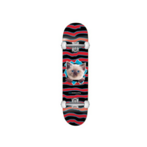 ENJOI 아동용 완성형 스케이트보드 KITTEN RIPPER COMPLETE 7.375