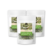 말린 모링가잎 모링가잎차 모닝가잎 모랑가잎 모린가 드럼스틱잎 MORINGA X 100g 3팩