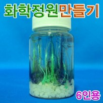 나awsme_향앤미과학 화학 정원 만들기 6인용 삼투압현상 실험 관찰♥awesome, ♥assur