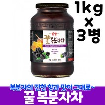 꽃샘 복분자차, 3병, 1kg