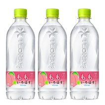 이로하스 피치 음료, 555ml, 5개입