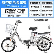 전기 자전거 2인승 전동 킥보드 배달 운동 패달 겸용 알루미늄 합금 성인 남성 여성 이중 리튬 배터리, I100KM