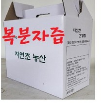 벌나무즙진액 40팩(115ml)특A 더진한 벌나무껍질진액 자연의그맛, (3형)복분자즙45팩