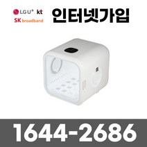 루컴즈 히밍 펫드라이룸 애견 강아지 고양이 에어샤워 드라이기 HPD5001-V
