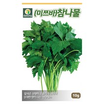 갑조네 민속특수 씨앗 모음, 미쯔바참나물(씨앗), 1개