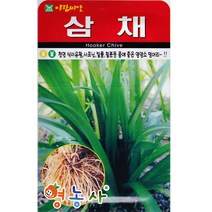 삼채씨앗 100립, 1개