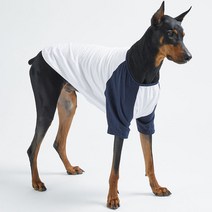 럭키페터 나그랑 강아지 티셔츠 화이트 시리즈, 화이트/민트