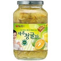 담터 제주 청귤차 1kg