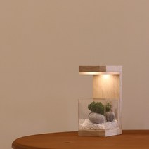 모던포인트 원목 플랜테리어 스칸디아모스 식물 LED 유선 무드등, 네추럴 베이지