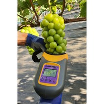 직접 재배 샤인머스켓 2kg 4kg