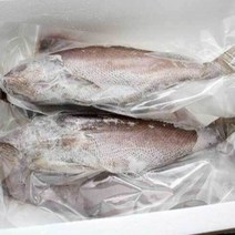 민어 반건조 생선 여수 국내산 3마리 5마리, 반건조 민어 국내산 중 3마리