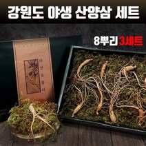 강원도 산양삼 5~6년근 야생 산양 산삼 8뿌리 자연산 진세노사이드 사포닌 수용성비타민 아미노산 무기질 면역력 피로회복 효능 먹는법 효삼 부모님선물 명절선물 고급 선물세트 인삼/수삼/장뇌삼, 3개, 5~6년근 8뿌리 1set