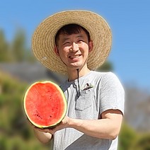 수박 씨없는 애플 하우스 고당도 프리미엄 양구 꿀수박 임산부수박, 씨있는 4kg