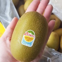 제스프리 골드키위 1.4kg, 썬골드키위 대과 120g내외 (11과), 1개