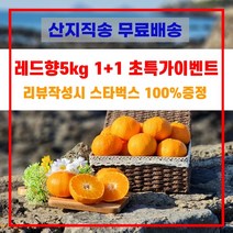 제주 일품 레드향 3kg 5kg 10kg 고당도 꿀뚝뚝 스테비아급, 초특가 5kg 1+1 꼬마