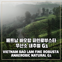 (커피생두) 109 베트남 바오람 파인로부스타 무산소 내추럴 G1 500g, 1개
