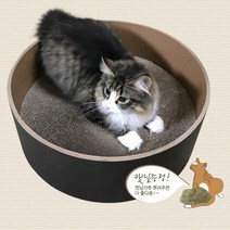 고양이 촘촘한 대형스크래쳐 원형하우스 고양이집 동그란 고양이놀이터