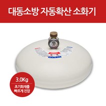 국산자동확산소화기/3kg/브라켓포함/소방용품