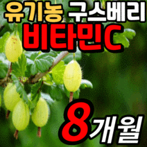 인디안 구스베리 비타민c 미네랄 식물성 원료 유기농 60정 식약처 식약청 gmp 인증 인정 비타 비타민 시 씨 구스배리 항산화 면역 면역력 활성산소 피로할때 먹는 vitamin, 8개월 분