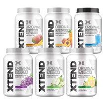 엑스텐드 BCAA 90서빙 6종 Xtend 익스텐드 리커버리, 1.4kg, 1개