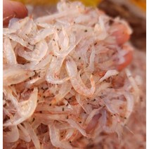장용 생새우 동백하 (급랭) 3kg