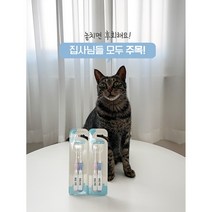 플라고 바르는 치약 칫솔 파우더 모음 강아지 고양이 이빨 잇몸 양치 입냄새 구취 치석제거, 플라고 칫솔(송곳니)