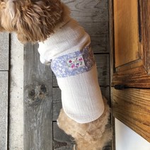 라티푸 순면 강아지 남아 한복, 블루