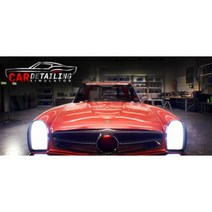 (24시 상품발송 스팀 PC한글판) Car Detailing Simulator 카 디테일링 시뮬레이터