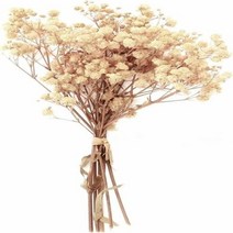 부케돔 미니 건조 아기 숨결 아이보리 흰색 꽃다발 헤어 웨딩 테이블 홈 크리스마스 가을, 9.Ivory white - 70g