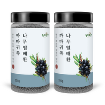 동의한재 제주 까마귀쪽나무열매환 200g x 2통, 단품, 단품