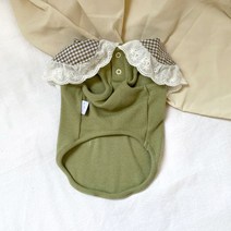 레이스조끼 인싸템 무드 영리함 골든 리트리버 유견 의류 가을옷 얇은 사모예드 보더 콜리 런닝 강아지 대형 3174349379, 올리브 그린 플랫카라 레이스조끼