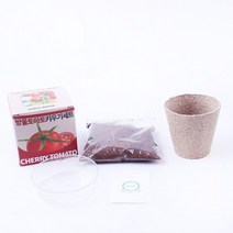 방울토마토 키우기세트, 본상품선택, 상세페이지 참조