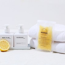 사해소금 80g 휴대용 1회용 바스솔트 반신욕 족욕 아로마 키즈 스파 어린이 커플입욕제 레몬 라벤더 네추럴, 사해소금80g(레몬)