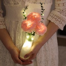 아트박스/비아케이스튜디오 디어블라썸 카네이션 LED 무드등_핑크