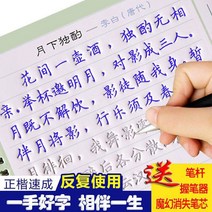 만년필 따라쓰기 정체의 글씨본 서첩 글씨를 연습 스티커 해서다 홈 하드 펜 고등학교 빅 여학생 스윗 2659386421, 기초 교육 과정 3붓대 30 펜 리필심 3쥐기 필기