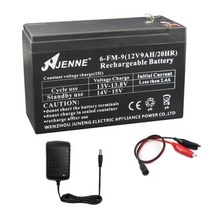 JENNE 배터리 전동차 전동 장난감 자동차 차량 3-FM-7 6V 7AH 20HR 충전기 클립, L.  JENNE-12V9ah+ 충전기  + 1개