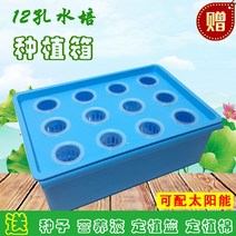 led 씨앗키트 새싹삼 일본슬릿화분 스마트 비닐하우스 모종트레이 시티팜 수경재배기 멀칭비닐 화분갈이흙, 통용 코드, 도자기, 12공 산소 증가형 물탱크