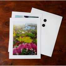 단추봉투 대 5장 포토박스 크라프트 화이트, 8x10 화이트