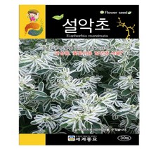 설악초 씨앗 꽃씨종자(30립) MK284, 1개