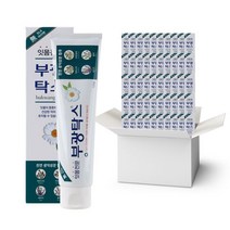 부광 부광약품 부광탁스 치약 1박스 (120gX30개입)