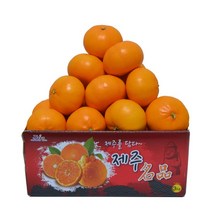 [벌크포장] 천혜향 2.5kg 중대과 8-15과, 없음