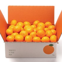 깨비농원 제주 카라향, 1box, 카라향 4.5kg 소과