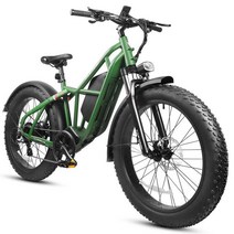 남녀공용 전기 자전거 40 팻 타이어 전기 오토바이 가변 속도 자전거 48V 750W 26 인치, 1.Forest  Green  825Ah