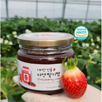 지리산 산골 수제 딸기잼, 1개, 500mg