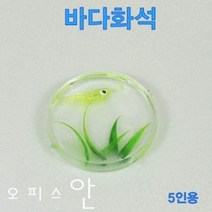 오피스안 바다화석 (5인용) ES-0584