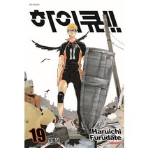 하이큐!! 19:보름달, 하이큐!! 19, Haruichi Furudate(저),대원씨아이, 대원씨아이