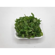 [특급] 민트 100g 500g 허브 생잎 애플민트, 민트100g, 1개