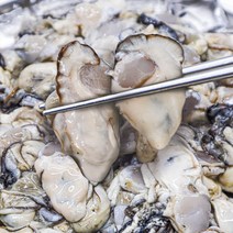 [산지직송] 통영 제철 생굴 굴 1kg, 통영 생굴 1kg