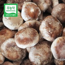 두메골농원 영양 무농약 버섯 착한 송이 500g 가정용, 상세페이지 참조